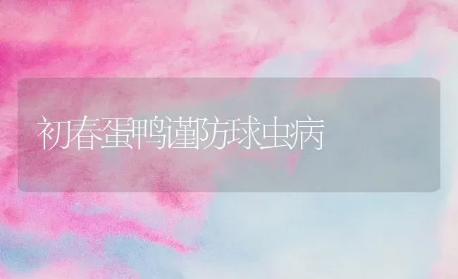 初春蛋鸭谨防球虫病 | 家禽养殖