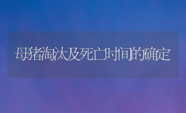 母猪淘汰及死亡时间的确定 | 家畜养殖