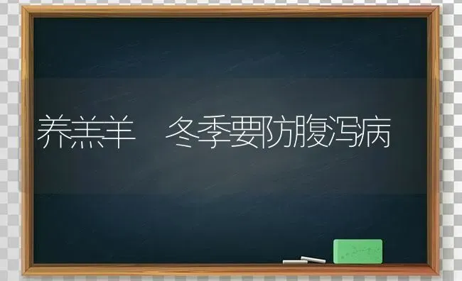 养羔羊 冬季要防腹泻病 | 家畜养殖