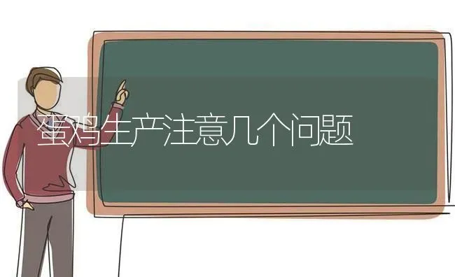 蛋鸡生产注意几个问题 | 家禽养殖