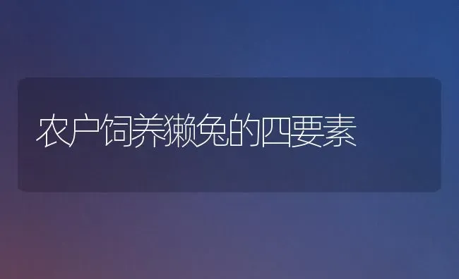 农户饲养獭兔的四要素 | 家畜养殖