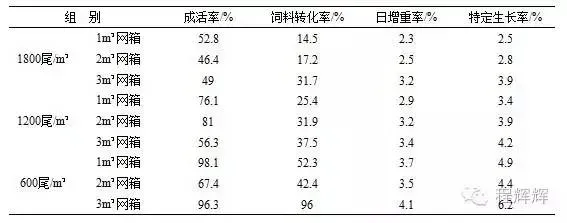 泥鳅小体积网箱养殖技术探索