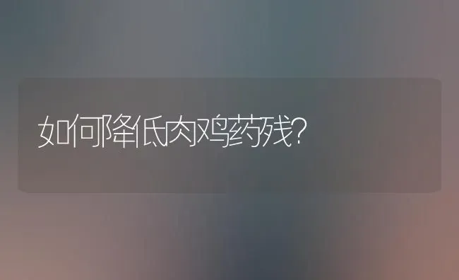 如何降低肉鸡药残？ | 养殖病虫害防治