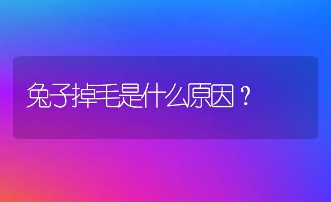 兔子掉毛是什么原因？ | 家畜养殖