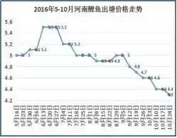 鲤鱼行情不好又如何？高产模式让利润有保障！