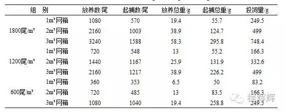 泥鳅小体积网箱养殖技术探索