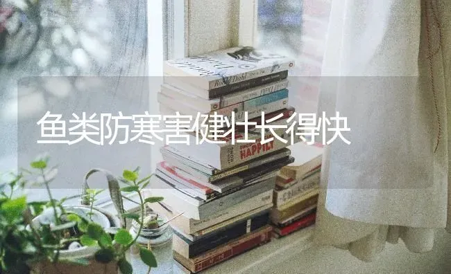 鱼类防寒害健壮长得快 | 淡水养殖