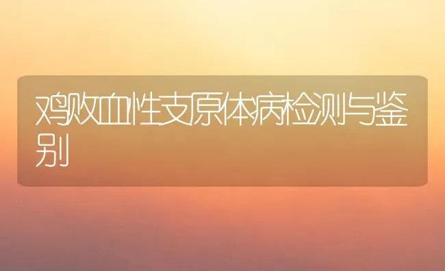 鸡败血性支原体病检测与鉴别 | 家禽养殖