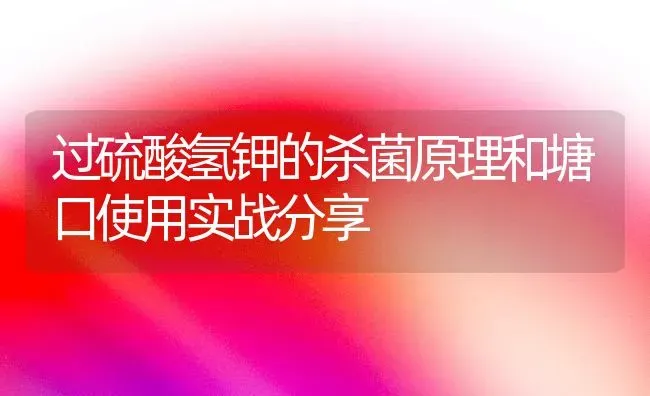 过硫酸氢钾的杀菌原理和塘口使用实战分享 | 动物养殖百科