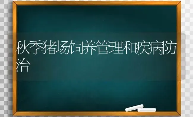 秋季猪场饲养管理和疾病防治 | 家畜养殖