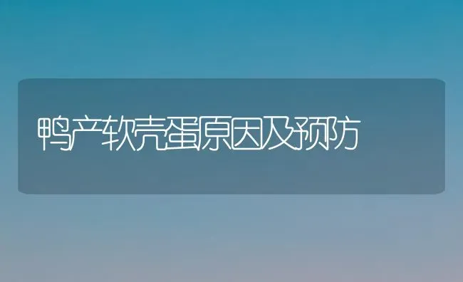 鸭产软壳蛋原因及预防 | 家禽养殖