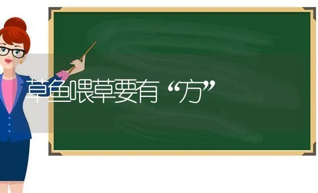 草鱼喂草要有“方” | 淡水养殖