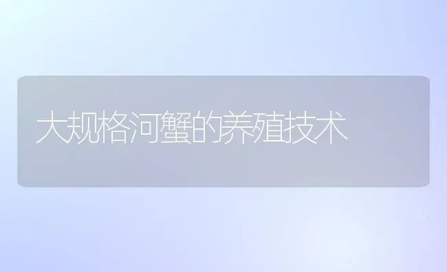 大规格河蟹的养殖技术 | 淡水养殖