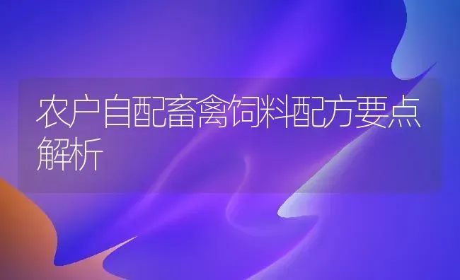 农户自配畜禽饲料配方要点解析 | 动物养殖饲料