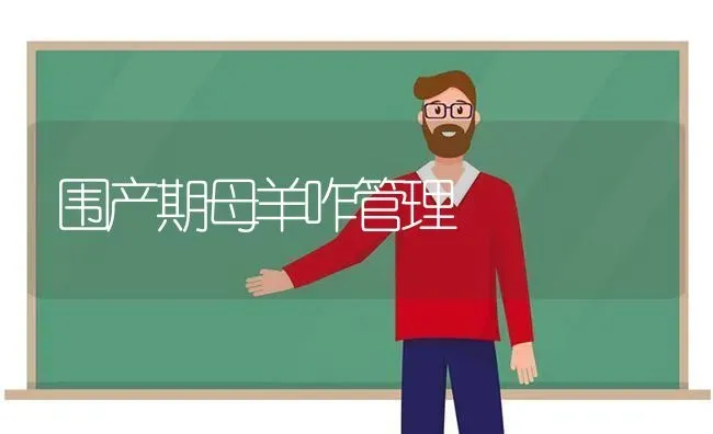 围产期母羊咋管理 | 家畜养殖