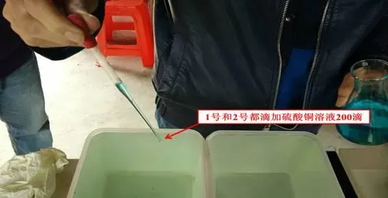 海联科3201+应激灵解毒效果杠杠滴 放苗解毒就用它