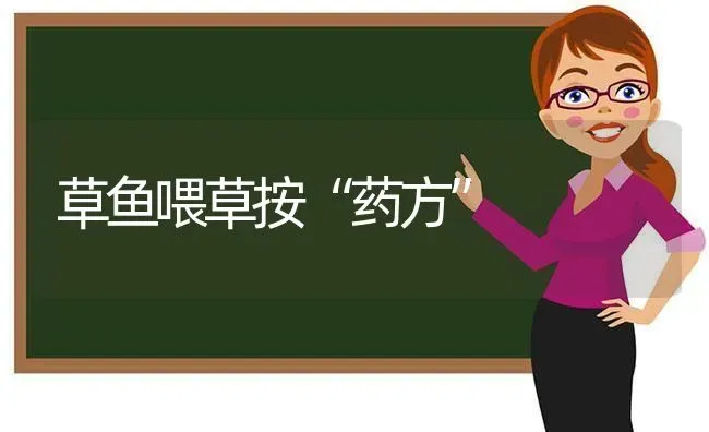草鱼喂草按“药方” | 养殖病虫害防治