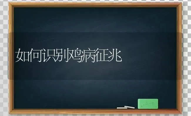 如何识别鸡病征兆 | 家禽养殖
