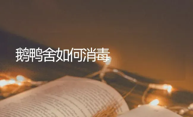 鹅鸭舍如何消毒 | 家禽养殖