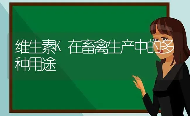 维生素K在畜禽生产中的多种用途 | 家禽养殖