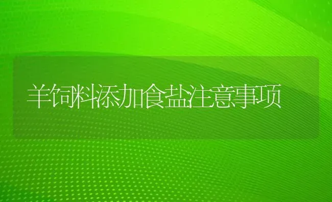 羊饲料添加食盐注意事项 | 家畜养殖