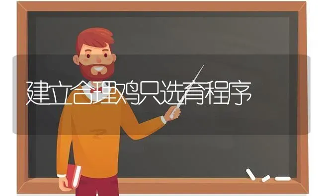 建立合理鸡只选育程序 | 家禽养殖
