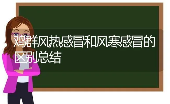 鸡群风热感冒和风寒感冒的区别总结 | 家禽养殖