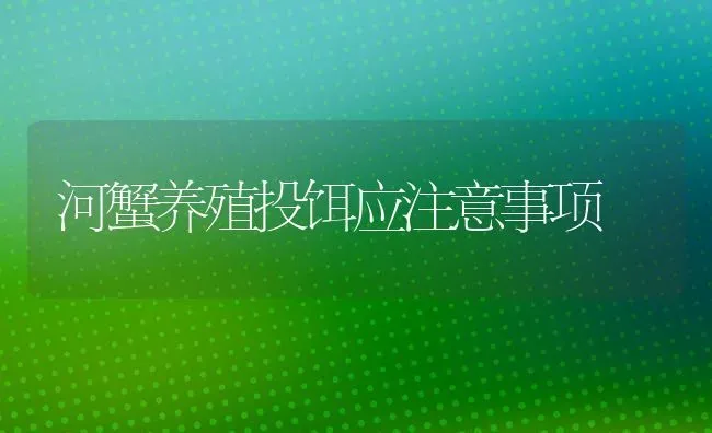 河蟹养殖投饵应注意事项 | 淡水养殖