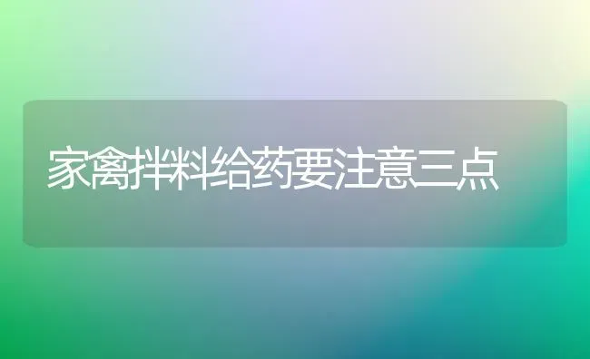 家禽拌料给药要注意三点 | 养殖病虫害防治