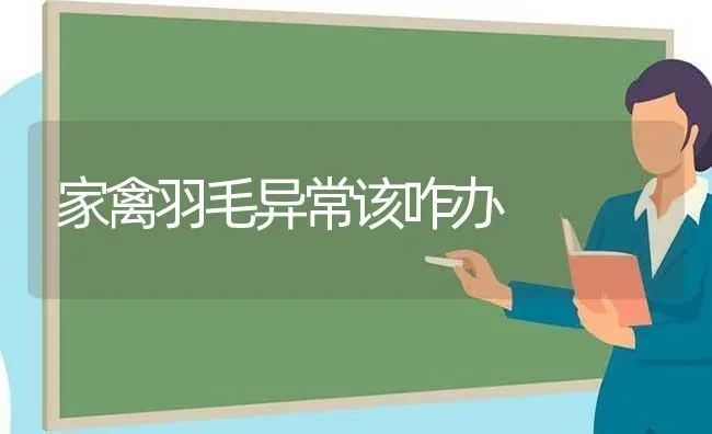 家禽羽毛异常该咋办 | 家禽养殖