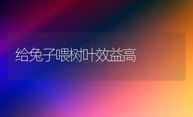 给兔子喂树叶效益高 | 家畜养殖