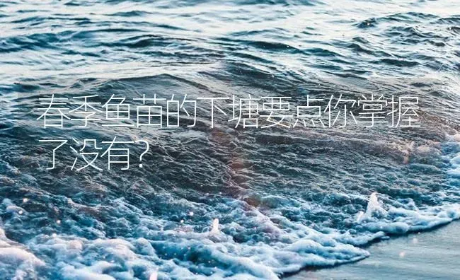 春季鱼苗的下塘要点你掌握了没有？ | 淡水养殖