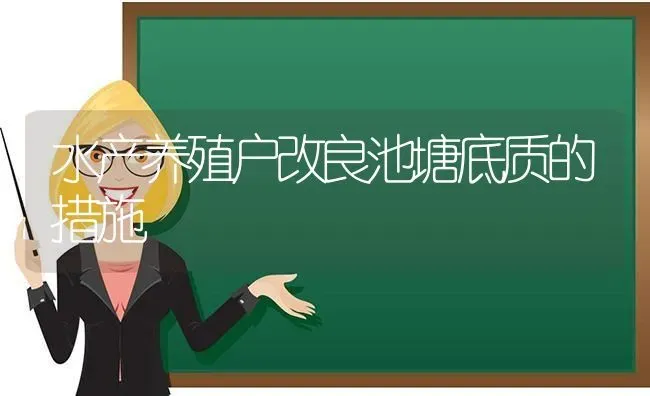 水产养殖户改良池塘底质的措施 | 动物养殖百科