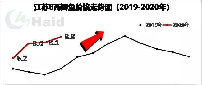 草鱼鲫鱼价格持续上涨，养鱼户如何抓住今年的高鱼价？