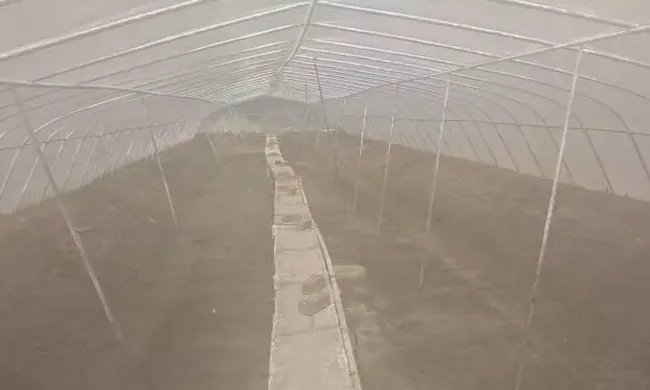 就这个“简易”小棚模式，养殖南美白对虾盈利率达90%，亩利润最高超2万！