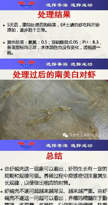 南美白对虾脱壳不遂分析处理案例