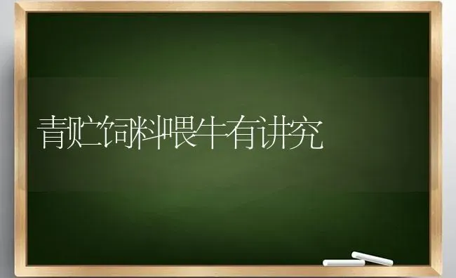 青贮饲料喂牛有讲究 | 动物养殖饲料