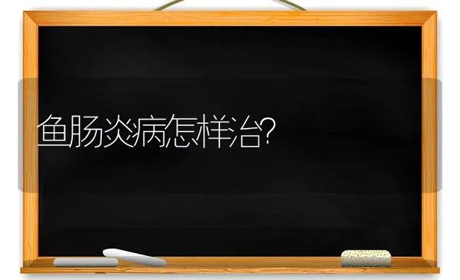 鱼肠炎病怎样治？ | 淡水养殖