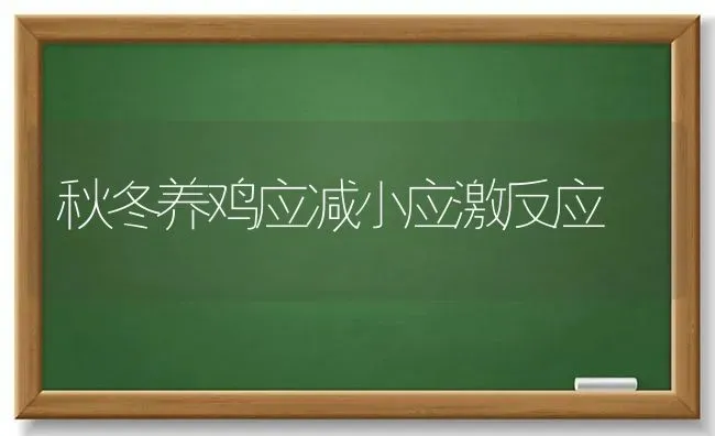 秋冬养鸡应减小应激反应 | 家禽养殖