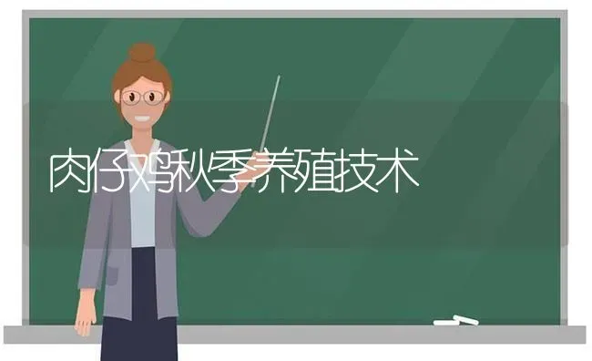 肉仔鸡秋季养殖技术 | 家禽养殖