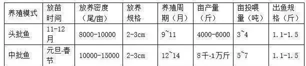 生物改底，好在坚持—海鲈鱼池塘改底案例分享