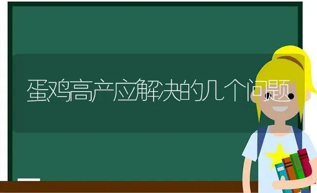 蛋鸡高产应解决的几个问题 | 家禽养殖