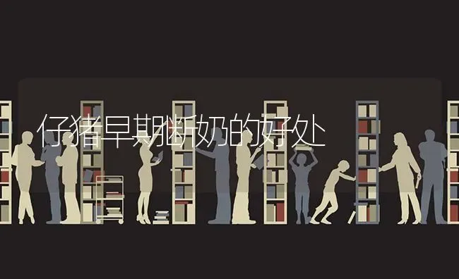 仔猪早期断奶的好处 | 家畜养殖