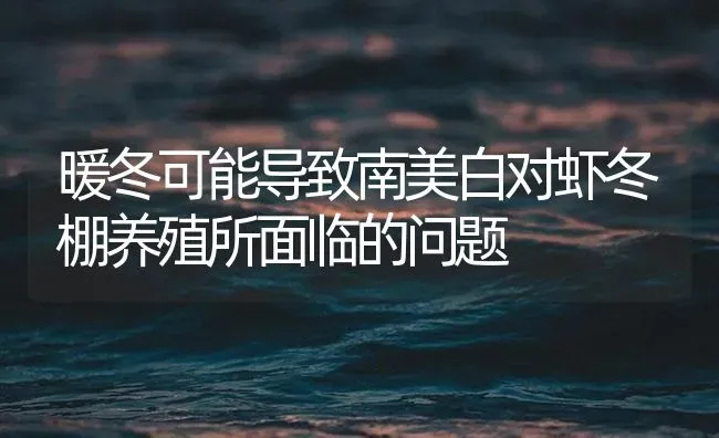 暖冬可能导致南美白对虾冬棚养殖所面临的问题 | 海水养殖