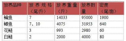 海大饲料+技术方案养鳊鱼阶段性效果展示