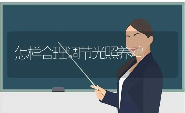 怎样合理调节光照养鸡 | 家禽养殖