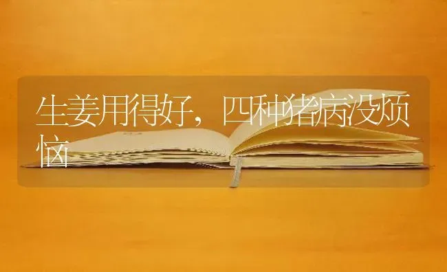 生姜用得好，四种猪病没烦恼 | 家畜养殖