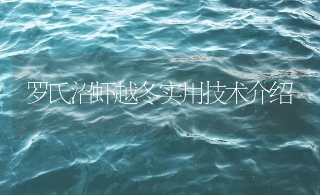 罗氏沼虾越冬实用技术介绍 | 海水养殖