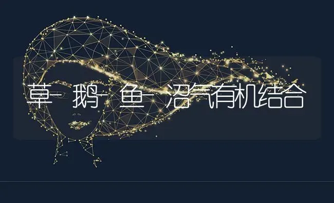 草-鹅-鱼-沼气有机结合 | 家禽养殖