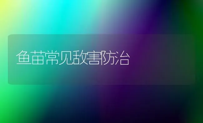 鱼苗常见敌害防治 | 淡水养殖